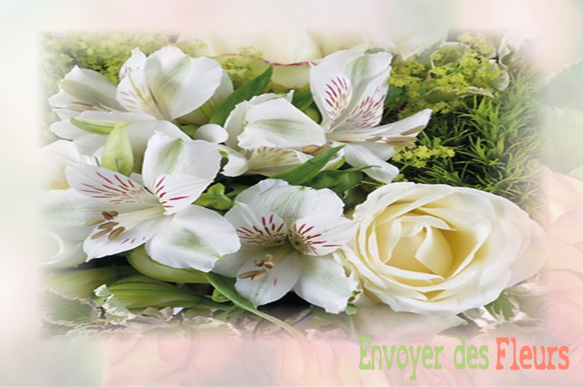 envoyer des fleurs à à DAMPIERRE-LE-CHATEAU